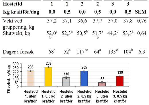 bilde 7