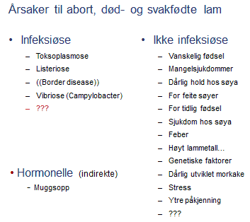 bilde 1