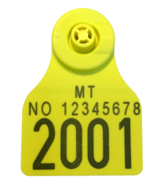 CombiE30