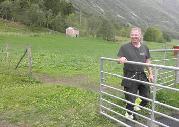 Etter avvenning skal lamma ut på dette beitet.