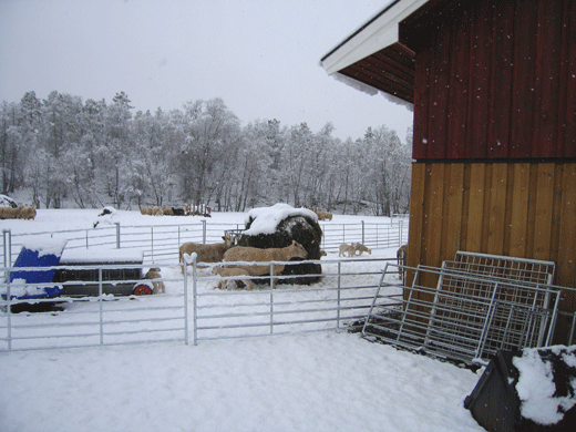 Luftegård i Alta.