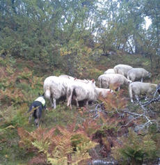 Illustrasjonsbilde fra foredraget