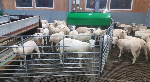 Bilde fra plansjeserien