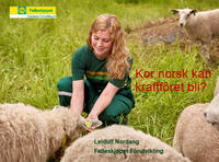Foredrag