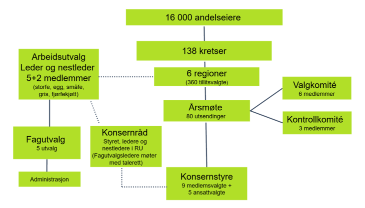 Oversikt over eierorganisasjonen i Nortura SA