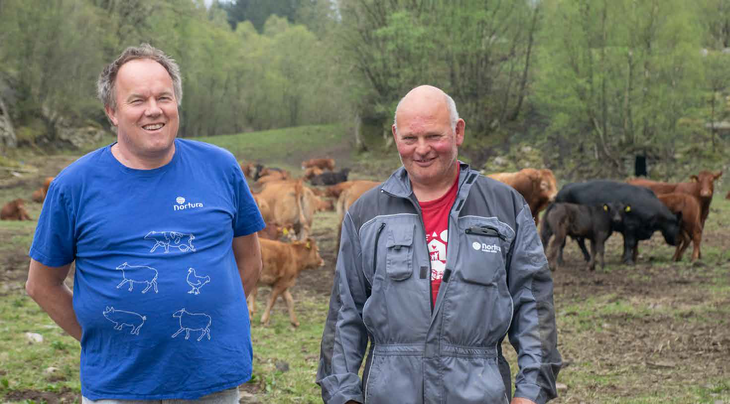 Erling Eggebø, til venstre, er nøgd med opplegget han får presentert hjå Knut Egil Stakkestad.