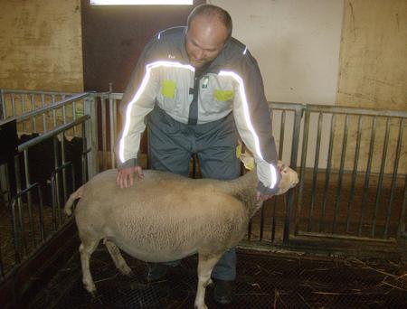 Holdvurdering klasser 1