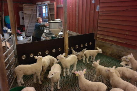 Ha eit gjennomtenkt opplegg for å ta vare på overskotslamma