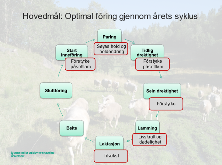 Mål for prosjektet - hjul