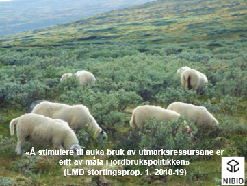 Illustrasjonsbilde fra presentasjon