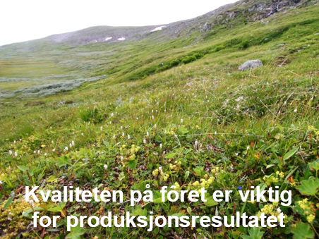 Illustrasjonsbilde fra presentasjon