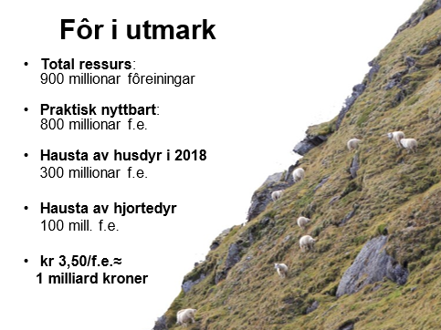 Illustrasjonsbilde fra presentasjon