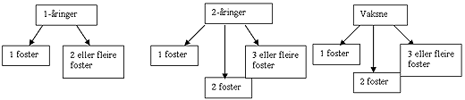 Figur fostertelling