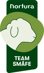 Team Småfe