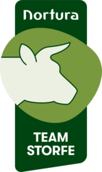 Team Storfe