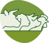 Logo dyreslag