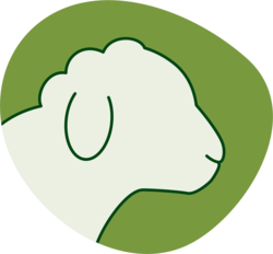 Team Småfe