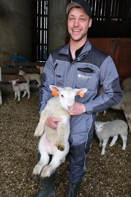 Ole Jonny trives godt som sauebonde. Foto: Liv Jorunn Denstadli Sagmo