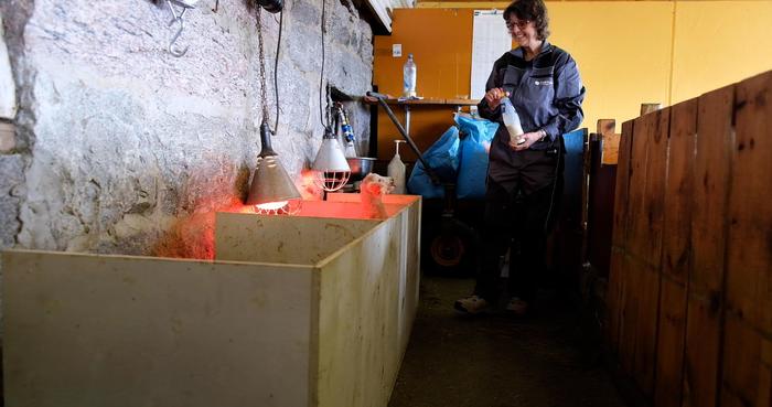 Kari er sjefen for kopplamma og kuvøseavdelingen. Foto: Liv Jorunn Denstadli Sagmo