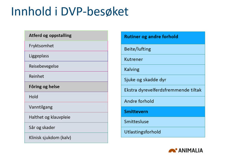 Innhold i DVP-besøket, bilde fra Animalia