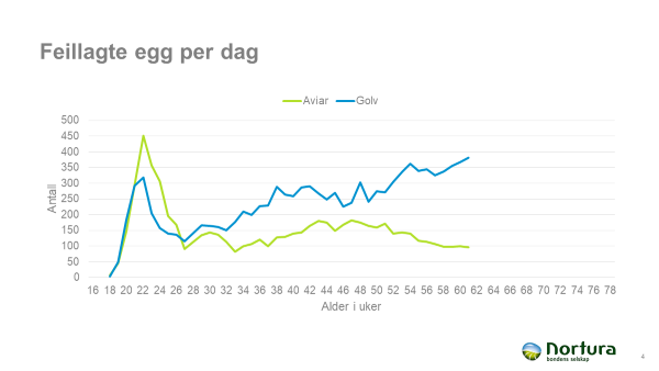Graf feillagte egg per dag
