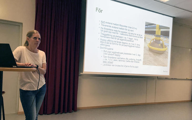 Veterinær Siri Sjurseth fra Nortura