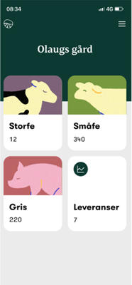 Bildevisning Min side med Mine leveranser