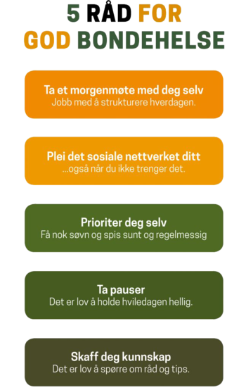 Tips og råd på nettsiden Godtbondevett.no