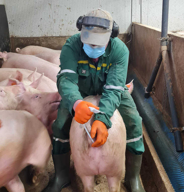 Daglige gjøremål i Sommerveien purkering Daglige gjøremål i Sommerveien purkering