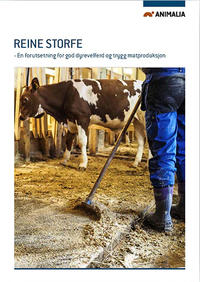 Reine storfe brosjyre