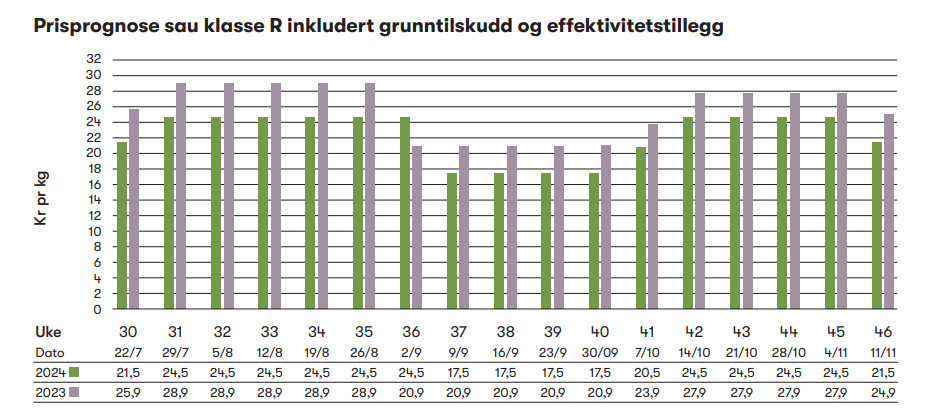Prisprognose sau lammesesongen 2024