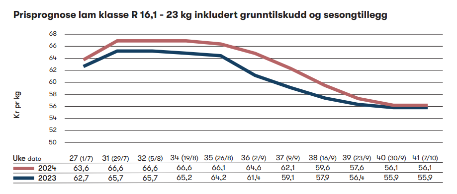 Prisprognose lam lammesesongen 2024 