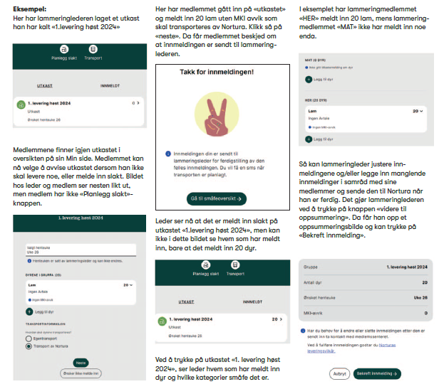 Eksempel - klikk for å åpne pdf og se side 10-11