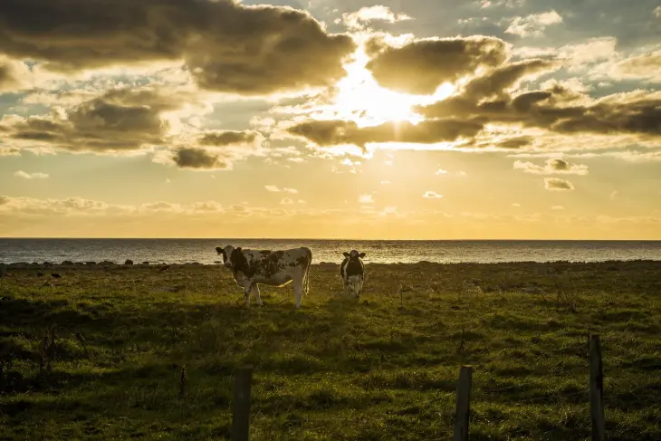 Landskapsbilde fra Jæren. Foto: Tom Haga Landskapsbilde fra Jæren. Foto: Tom Haga