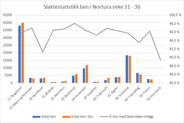 Graf med slaktestatistikk lam i Nortura veke 31 til 36