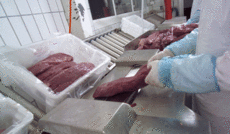 Pakking filet