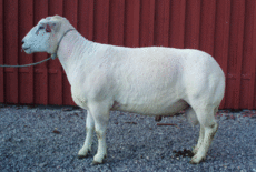 Nor-X vær: 200590542 Favoritt