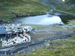 Klikk for større bilde